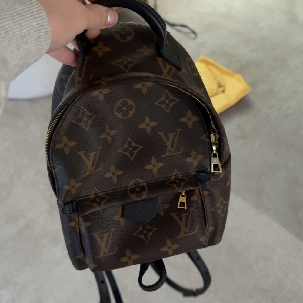 Louis Vuitton Palm Springs Mini Backpack - Brown Monogram - Picture 4 of 5